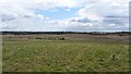 Fields off Gartloch Road