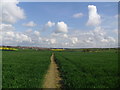 Path to Conisbrough.