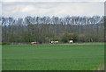 SE7466 : Narrow pasture by Kirkham Park Wood by Pauline E
