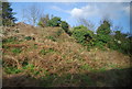 Railway cutting near Southend Central