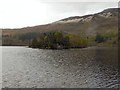 NN4808 : Ellen's Isle (Eilean Molach), Loch Katrine by David Dixon
