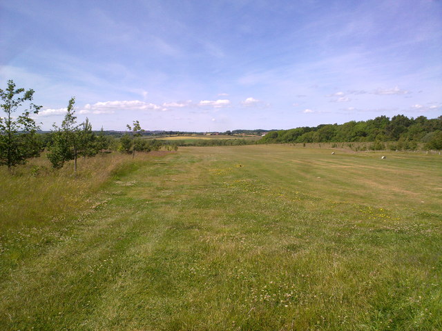Looking West to Carr Wood