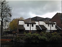 TQ3682 : Houses on Canal Road, viewed from the Regent's Canal by Robert Lamb