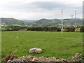 Local GAA pitch