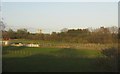 Fields at Monk Fryston