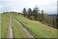 Track above Allt Goch