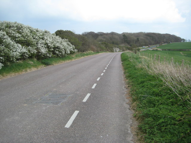 Road on Bincombe Down