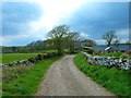 Blairbuy Cottages