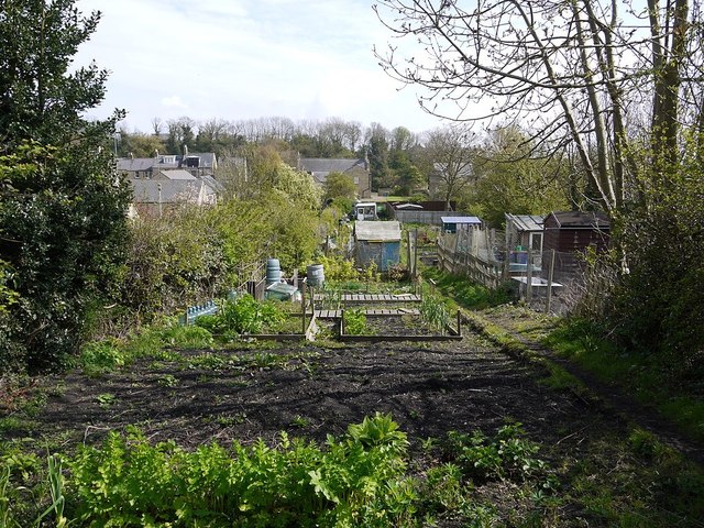 Allotment at The Butts, Warkworth
