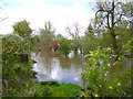 Charlton Marshall, flooded gardens