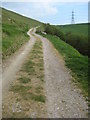 SY6884 : Track ascending Bincombe Hill by Philip Halling