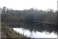 Flash on the Basingstoke Canal