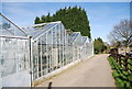 Glasshouses