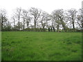 Footpath to Eskham