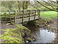 Footbridge over Park Brook