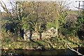 Bridge Abutment at Seiont Nurseries