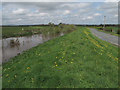 Embankment on the River Seven