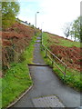 Path up to Coronation Terrace, Senghenydd