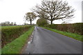 Road towards Headcorn, near Frittenden