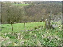 SE0022 : Obstructed footpath below Priestley Ing, Mytholmroyd by Humphrey Bolton