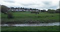 Across the River Dove with Darfield in the background.