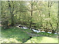 Afon Lwyd viewed from Cwmavon Road near two cottages