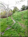 Footpath to Fellside