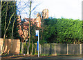 Grove Road Kings Heath from site of entrance to Grove Terrace