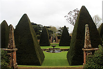 SY7794 : Formal  Garden, Athelhampton House, Dorset by Christine Matthews