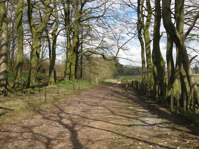 Track near South Slipperfield