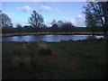 Pond on Richmond Park