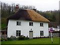 Thatched Cottage, Milton Abbas, Dorset