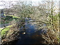 River Erme from the footbridge, Ivybridge