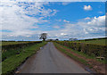 Minor Road Oldwalls Farm