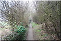 TQ8511 : Footpath, Hastings Country Park by N Chadwick