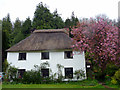 Thatched House, Milton Abbas, Dorset