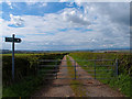 Farm Track to Crossroads