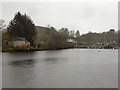 NS3786 : Loch Lomond, Inchmurrin by David Dixon