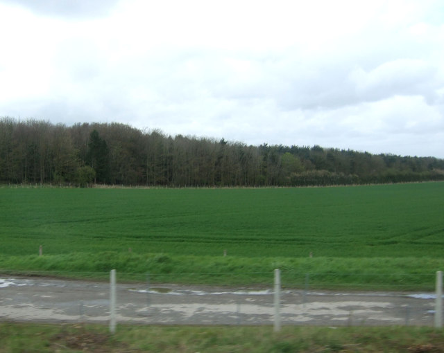 Farmland towards Hurn Wood