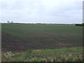 TF1532 : Farmland off Neslam Road by JThomas