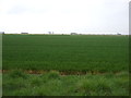 TF1232 : Farmland off Neslam Road by JThomas