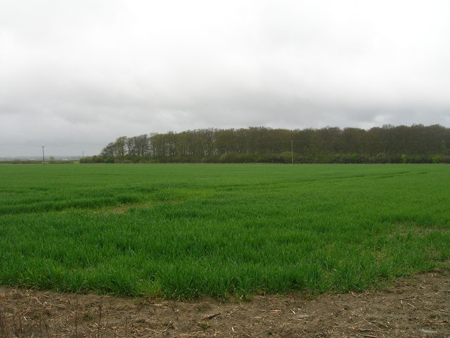 Farmland, Willoughby Gorse