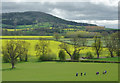 SO3851 : Herefordshire farmland west of Weobley by Roger  D Kidd