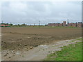 Muddy farmland towards The Maltings