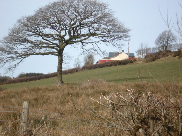 A Farm in Cwrtnewydd