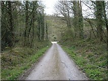 W6497 : Forest trackway by Hywel Williams