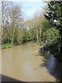 River Dene from the Bridge Street bridge