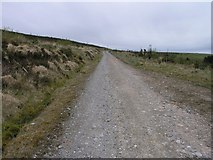 W6596 : Trackway on upper mountainside by Hywel Williams