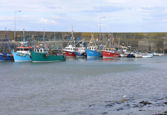 Fishing boats in Helvick harbour