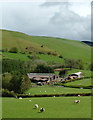 Hillside and farm south-west of New Radnor, Powys